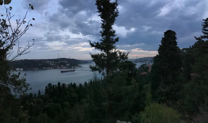 Among Istanbul's Literary Giants: A Walk Through Aşiyan Cemetery