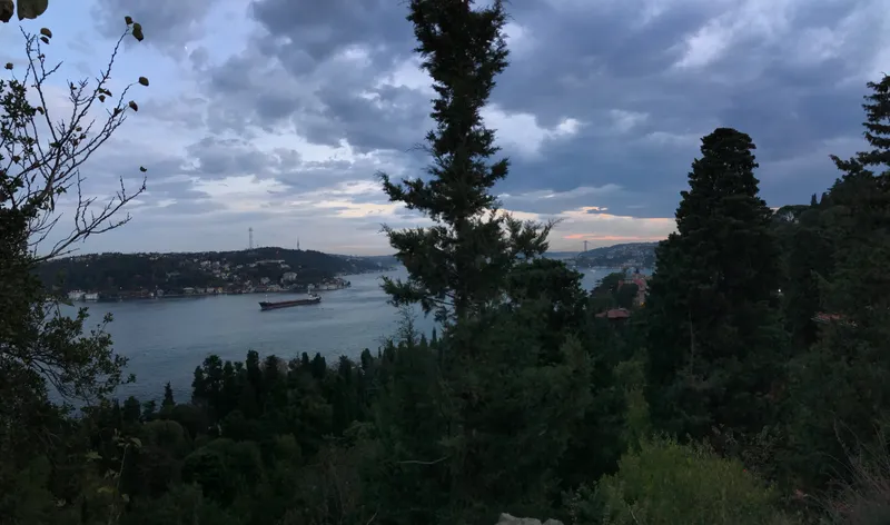 Among Istanbul's Literary Giants: A Walk Through Aşiyan Cemetery