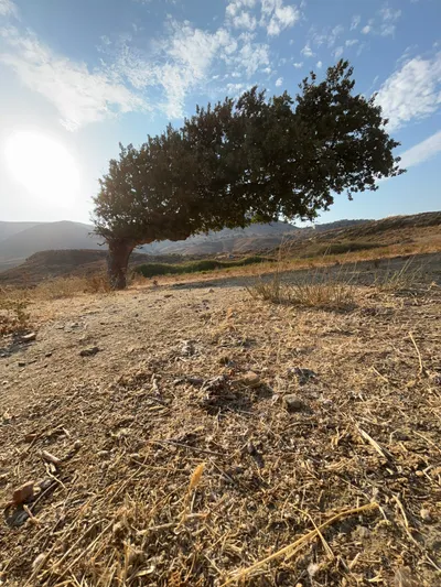Yıldız Bay (Yıldız Koy) Gökçeada: Turkey's Only Underwater National Park and Hidden Beach 3