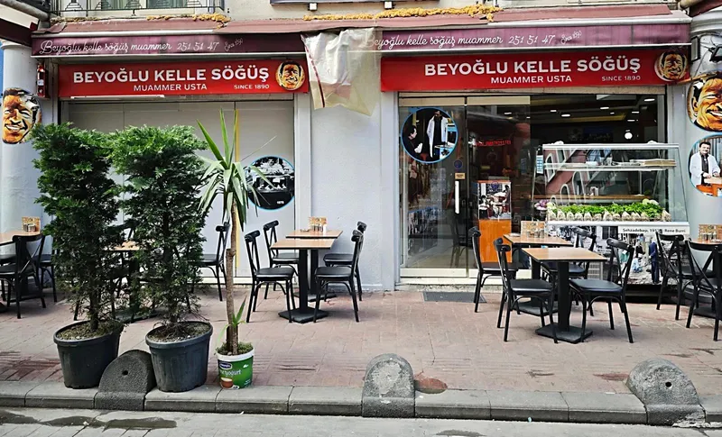 Kelle Söğüş