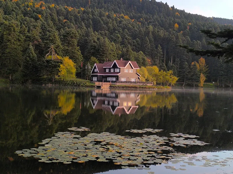 Bolu
