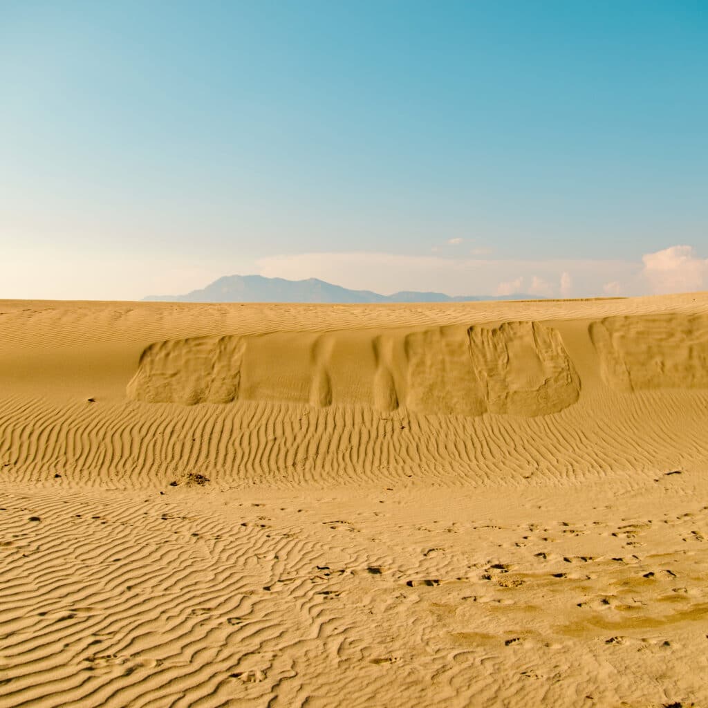 Patara Desert